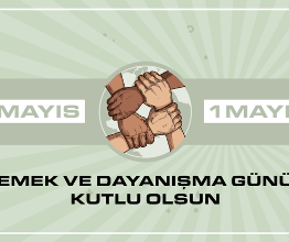 Haber Önizleme