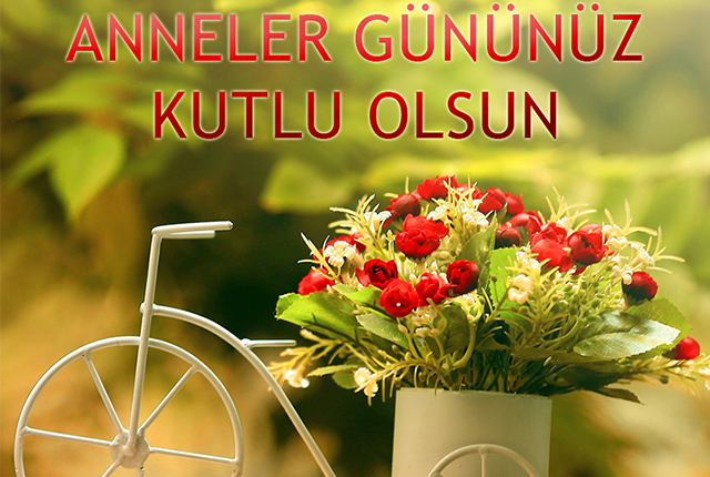 Haber Önizleme