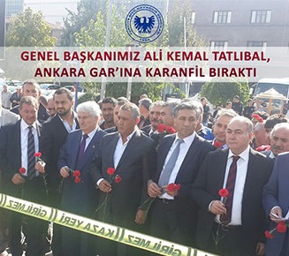 Haber Önizleme