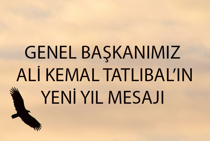 Haber Önizleme