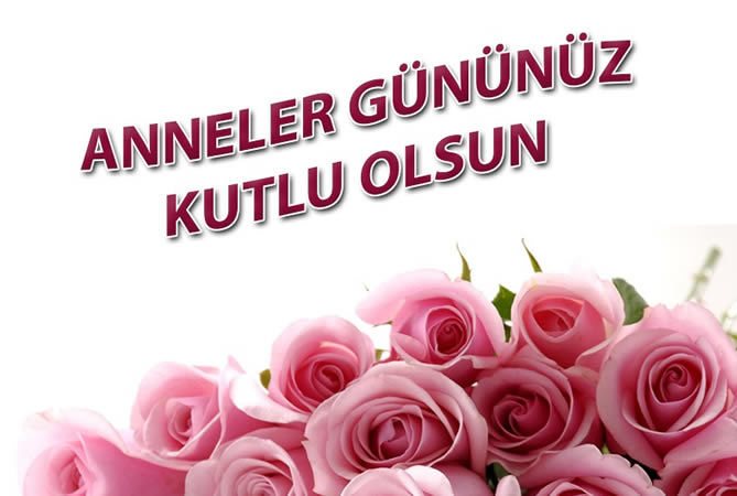 Haber Önizleme