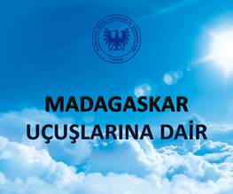 Haber Önizleme