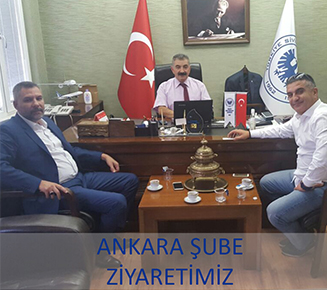 Haber Önizleme